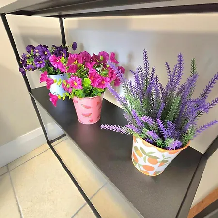 Διαμέρισμα Abbey 4 Bedroom