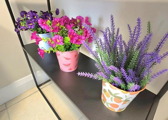 아파트 Abbey 4 Bedroom